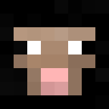 Tête de Slyder00