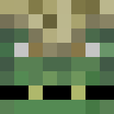 Minecraft players skin