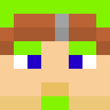 Minecraft players skin