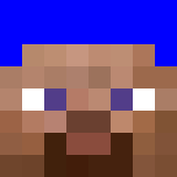 Minecraft players skin