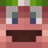 bidder minecraft icon