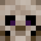 auctioneer icon