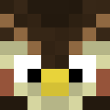 Minecraft Avatar Head