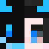 Minecraft players skin