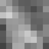 auctioneer icon