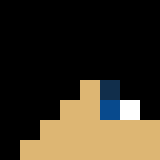 auctioneer icon