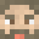 auctioneer icon