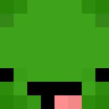 MisterTurtle13