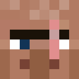 bidder minecraft icon