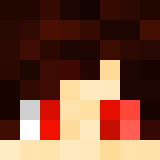 Minecraft players skin