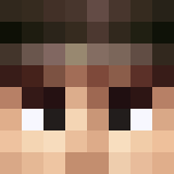 Minecraft players skin