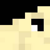 Minecraft players skin