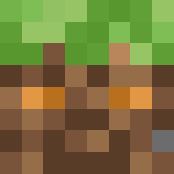 auctioneer icon