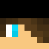 Minecraft players skin