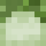 Minecraft players skin