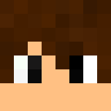 Minecraft players skin