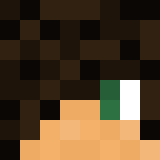 The shop owners Minecraft face