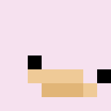 auctioneer icon