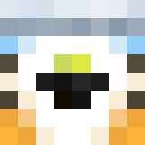 Minecraft players skin