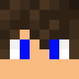 Minecraft players skin