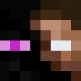 Minecraft players skin