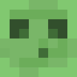 Minecraft players skin