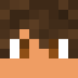 Minecraft players skin