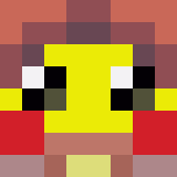 Minecraft players skin