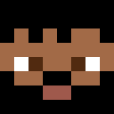 auctioneer icon