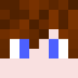 Minecraft players skin
