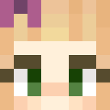Minecraft players skin