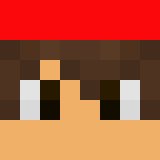 auctioneer icon
