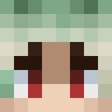 Minecraft players skin