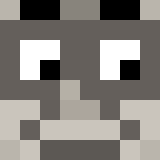 Minecraft players skin