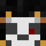 Tête de nolzer57