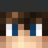 Minecraft players skin