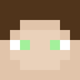 Minecraft players skin