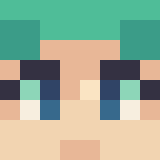 Minecraft players skin