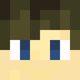 Minecraft players skin