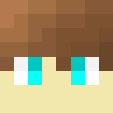 Minecraft players skin