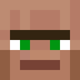 Minecraft head of zani