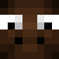 Witmoos Minecraft avatar