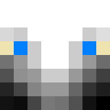 CraftBTC Skin
