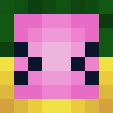 bidder minecraft icon