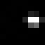 auctioneer icon