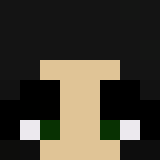 Minecraft players skin