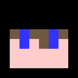Minecraft players skin