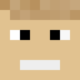 Minecraft players skin