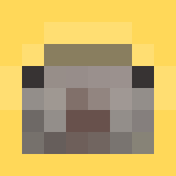 Minecraft players skin