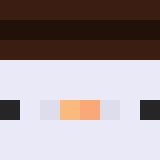 Minecraft players skin